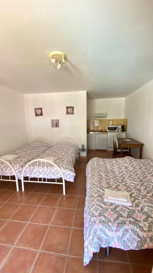 Appartements " Le Clos De La Cerisaie" 卡斯蒂杜加尔德 外观 照片